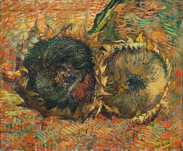 Vincent van Gogh, Verblühte Sonnenblumen (Zwei abgeschnittene Sonnenblumen), 1887, Spätsommer